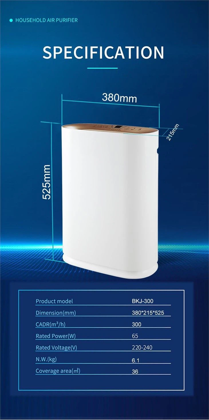 BKJ-300 Household Anion Purify Room Air Purifier