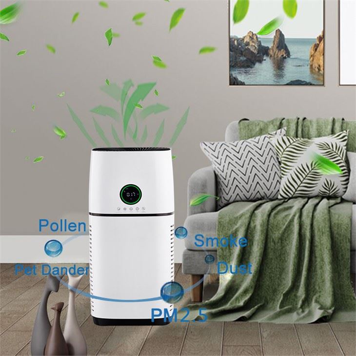 BKJ-500 ہائی ایفیشینک ہوم ایئر پیوریفائر کمرہ