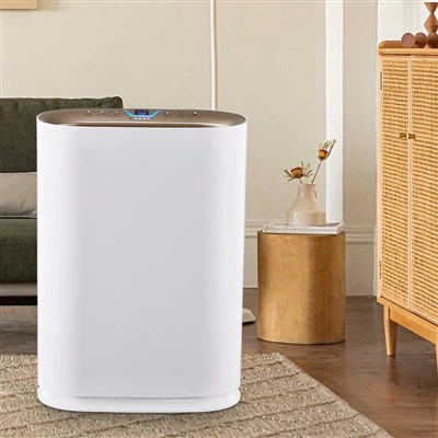 bkj -300 کمرہ ایئر تازہ ہوا صافی