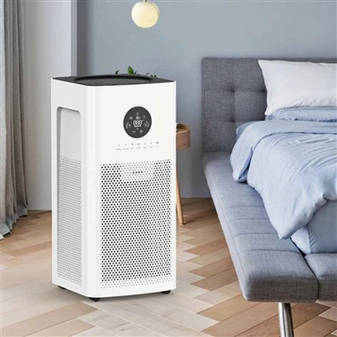 LCD ڈسپلے کے ساتھ BKJ-55A گھر کھڑا ہوا صافی