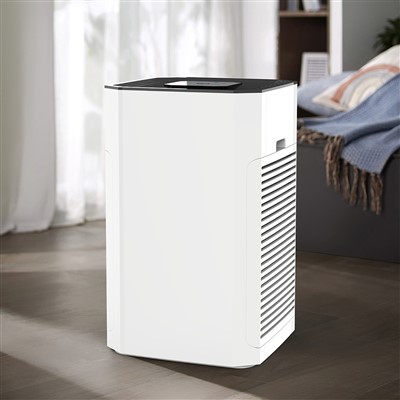 BKJ -80 B گرم ، شہوت انگیز فروخت بڑی اعلی کارکردگی کا ذہین ایئر پیوریفائر